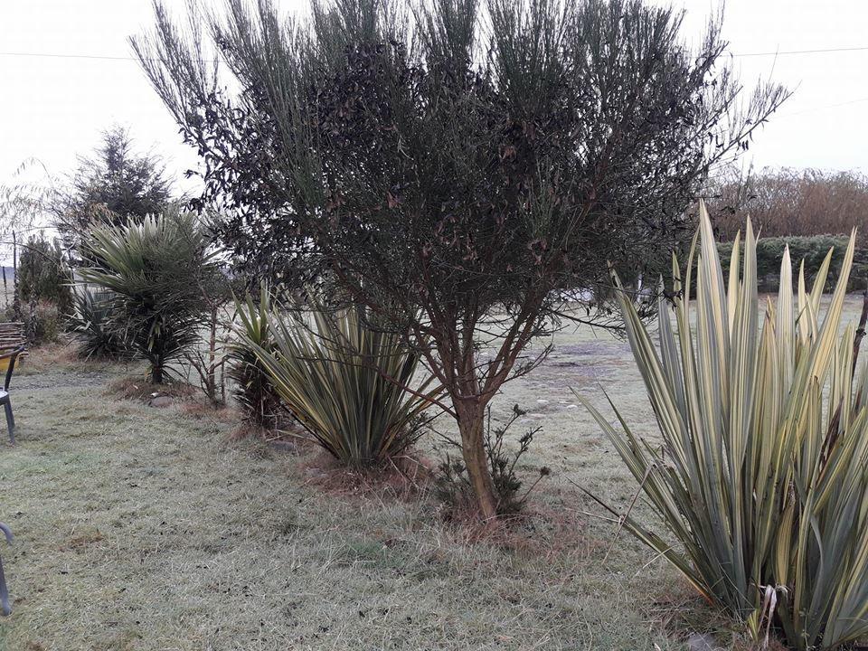 Lodge Guarida Del Trauco Puqueldon Zewnętrze zdjęcie